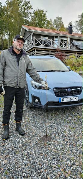 Fil:1.47 Eriksson.jpg
